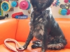 Marly