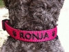 halsband2_0