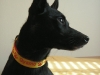 hundehalsband