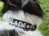 slade-02_0
