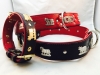 Appenzellerhalsband 02