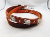 appenzeller-leine-01