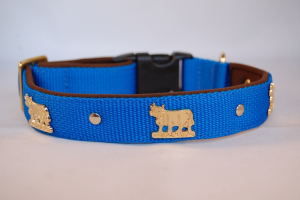 Appenzeller Halsband nach Wunsch