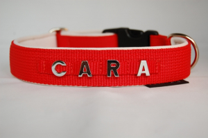 Zugstop Halsband mit Chrome-Buchstaben