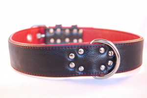 Halsband aus Leder