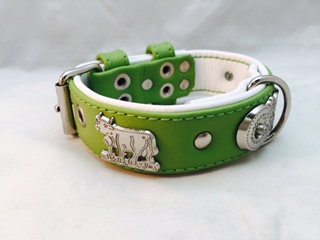 Dogsland Appenzeller Halsband Pferdehalfter handgemacht