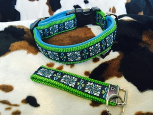 Hundehalsband Singapore apfel/türkis