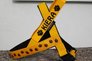 Norweger Geschirr mit Designband