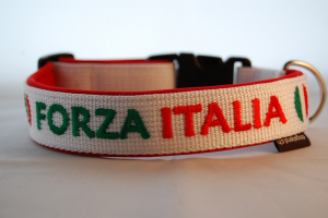 Fanhalsband "FORZA ITALIA"