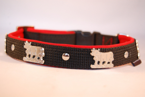 Appenzeller Halsband nach Wunsch