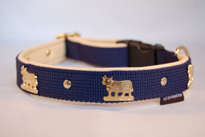 Appenzeller Halsband nach Wunsch