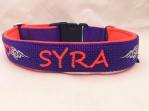Hundehalsband mit Name