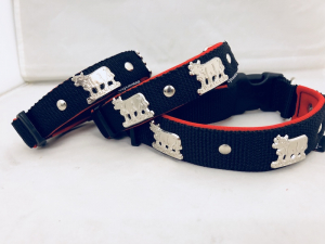 Hundehalsband Appenzell – Robust, fellschonend & zeitlos