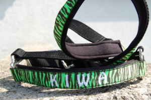 Design "SOFTLY" Halfter mit Polsterung - COLLAR