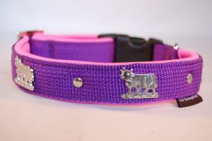 Appenzeller Halsband nach Wunsch