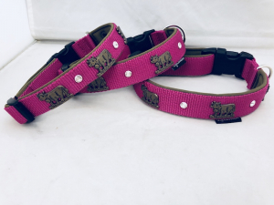 Appenzeller Hundehalsband pink/altmessing