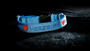 Halsband HERZBUEB