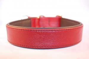 Halsband Leder mit Zugstop