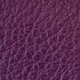 Violett Neu 2025